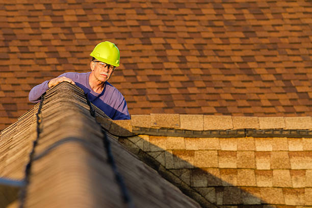 Roof Gutter Cleaning in Hoyt Lakes, MN