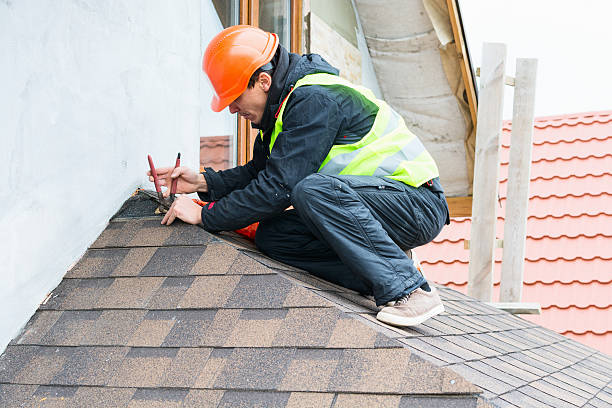 Best Residential Roof Replacement  in Hoyt Lakes, MN
